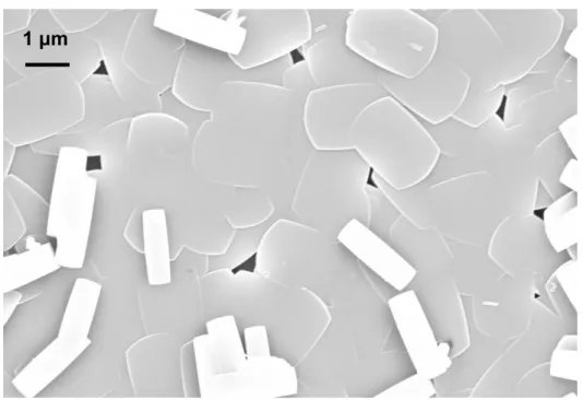 Figure 2.4 Silicalite (MFI) polycrystalline film grown via in situ techniques showing a  loose layer of MFI crystals on the surface 