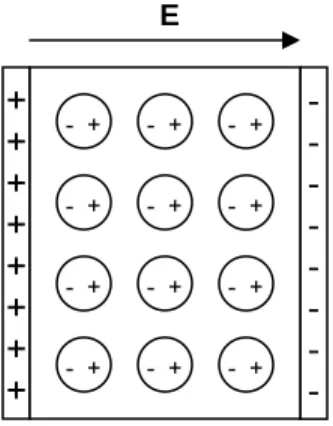 Figure 4.1  Cartoon of a parallel-plate capacitor with a dielectric medium polarized by an  electric field, E 