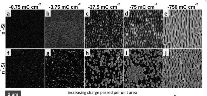 Figure 1.2. Series of SEM images demonstrating films with characteristic amounts of charge passed  (mass deposited) per unit area on (a-e) p + -Si and (f-j) n + -Si with (a), (f) at -0.75 mC cm -2 ; (b), (g) at  -3.75 mC cm -2 ; (c), (h) at -37.5 mC cm -2 