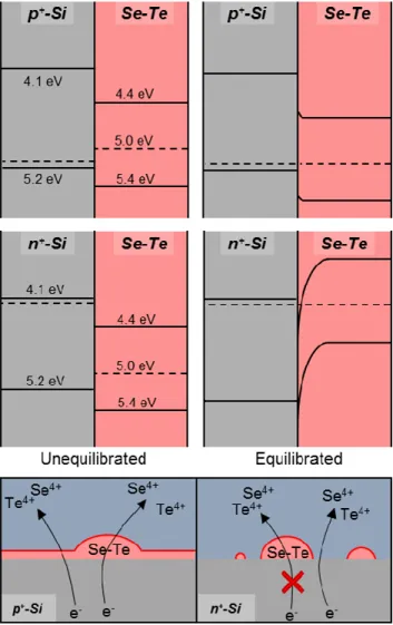 Figure  1.4.  Simplified  band  diagrams  showing  the  energies  of  the  band  positions  relative  to  the  vacuum level and the expected trends in the equilibration of the junctions formed by n + -Si or p + -Si  with Se-Te
