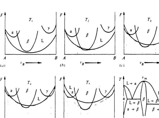 Fig. 3.1  Free energy functions of various phases  and  the  A-B phase  diagram  derived  from them