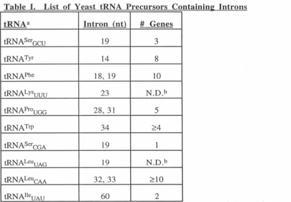 Table  I  .  List  of  Yeast  tRNA  Precursors  Containin~  Introns 