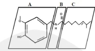 Gambar 3. Molekul capsaicin (Sumber: Reyes-Escogido et al., 2011)
