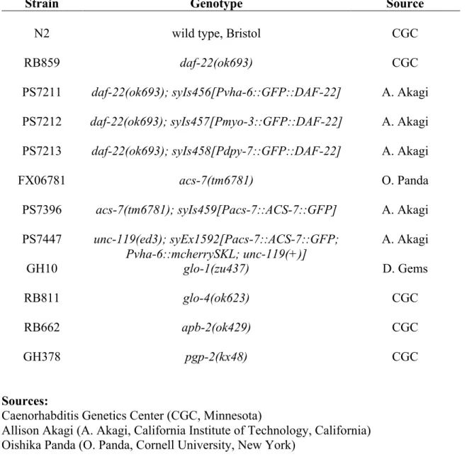 Table C.1: Strains 