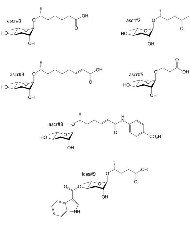 Figure 1.6: Ascarosides Involved in Dauer Formation.  