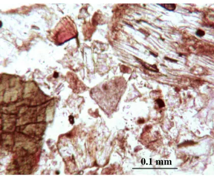 Figure A.2 - An image of the soil thin-section viewed through the petrographic 