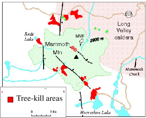 Figure 2.1 - Schematic map (courtesy of U.S.G.S.) showing the eight distinct areas of  tree-kill caused by high soil CO 2  concentrations on the flanks of Mammoth Mountain,  California