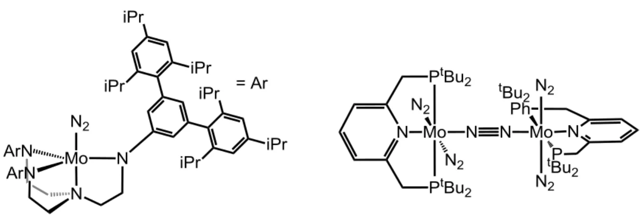 Figure  1.2.  Mo  complexes  that  mediate  the  catalytic  reduction  of  N 2   to  NH 3 