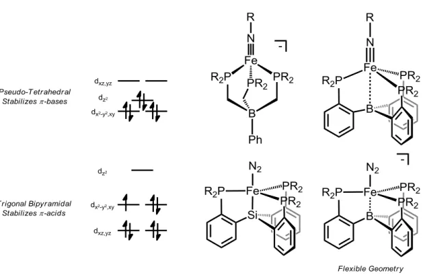 Figure  1.3. Qualitative  d-orbital  splitting  diagrams  and  examples  of  complexes  that  feature pseudo-tetrahedral and trigonal bipyramidal geometries stabilizing bases and  π-acids respectively