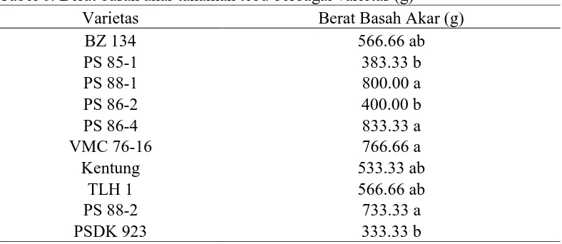 Tabel 6. Berat basah akar tanaman tebu berbagai varietas (g) Varietas Berat Basah Akar (g) 
