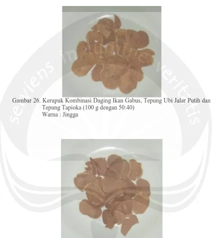 Gambar 26. Kerupuk Kombinasi Daging Ikan Gabus, Tepung Ubi Jalar Putih dan  Tepung Tapioka (100 g dengan 50:40)  