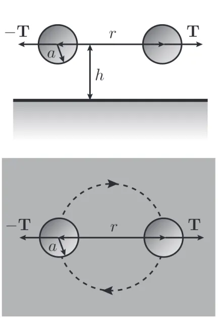 Figure 4.2: A side-on and top-down view of a pair of particles above a plane wall with equal and opposite torques T applied along their line of centers