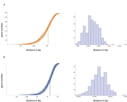 Figure 2.2 Modeling genomic distribution of GREs in relation to  transcription starting sites (TSS)