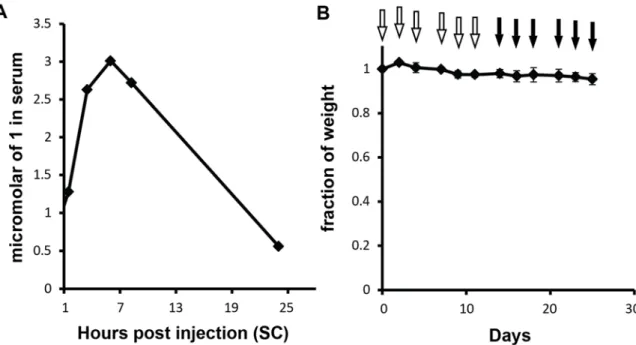 Figure 3.9 Pharmacokinetics of 1. A, Serum concentrations of 1 after  subcutaneous injection (120 nmol) into C57BL/6 mice