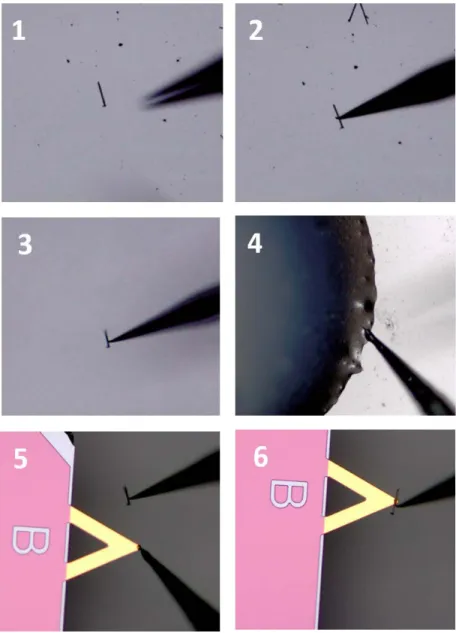 Figure 1: Fabrication of Custom AFM Tips 