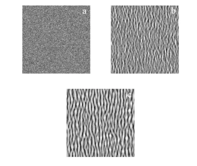 Figure 10: Simulated Growth on a Planar Surface 