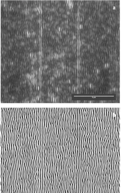 Figure 16: Lamellar Structure at Lithographically Defined Step Edges 