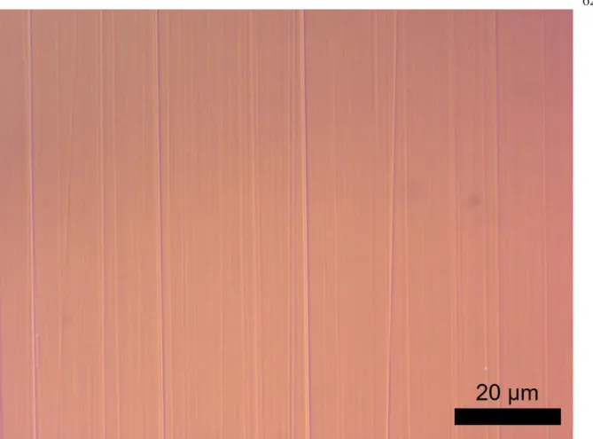 Figure 18: DIC Image of Abraded Surface 