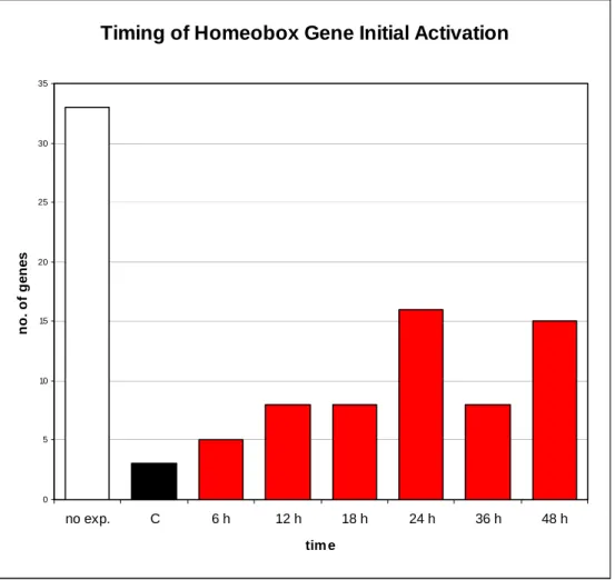 Figure 1.4. Distribution of homeobox gene initial activation times. Each bar represents the number of  homeobox transcription factors that are initially activated at each time point