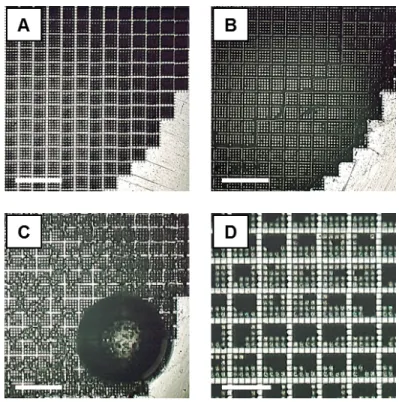 Figure D.2: Wetting of a lattice electrode, by optical microscopy. Images of lattice electrode (A) when dry, (B) immediately after immersion in water, (C) after 15 minutes of immersion, and (D) after CVs of Figure 4.9
