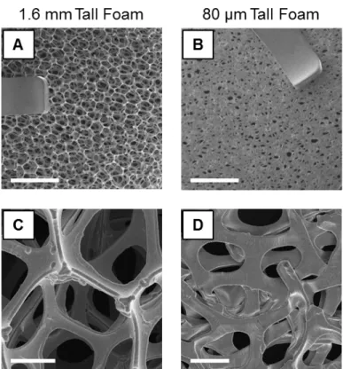 Figure 4.13: Foam electrode morphologies. (A,C) Open and (B,D) dense nickel foam structures (scale bar: (A,B) 2 mm and (C,D) 200 µm).