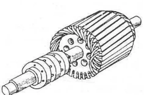 Gambar 2.3 Rotor belitan 