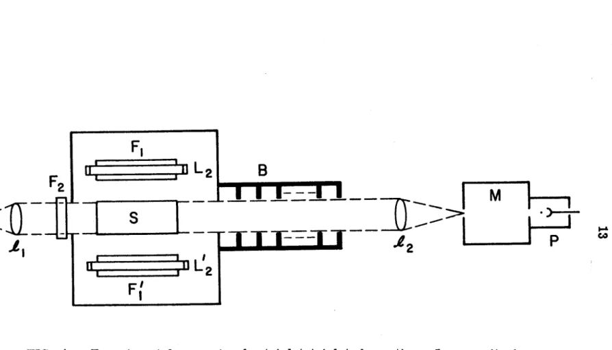 FIG.  4.  Experimental apparatus for  triplet-triplet absorption.  L 1  =monitoring  light for  the triplet-triplet absorption;  L 2 ,  L~  =flash lamps, 