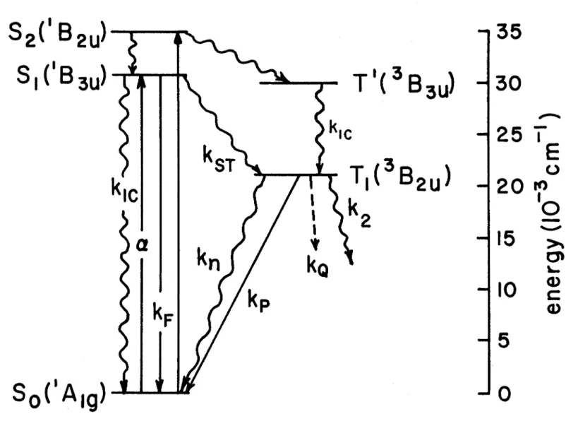 FIG.  5.  Excitation and decay of the lowest triplet state of naphthalene. 