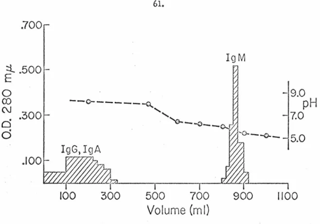 Figure  6b.  Further  fractionation  of  Biosel  P-300  front  peak  from  the  serum  of  MAT  using  sucrose  gradient  sedimentation