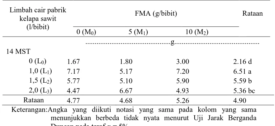 Tabel 7. Rataan bobotsegar tajukpadapemberian berbagai dosis limbah cair  pabrik kelapa sawit dan FMA 