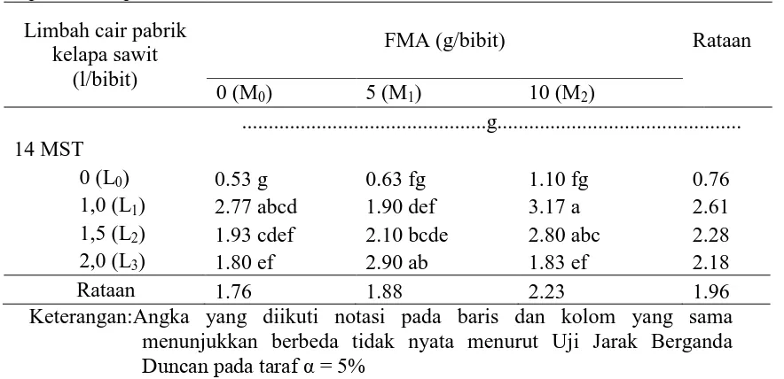Tabel 8. Rataan bobot segarakar pada pemberian berbagai dosis limbah cair  pabrik kelapa sawit dan FMA 