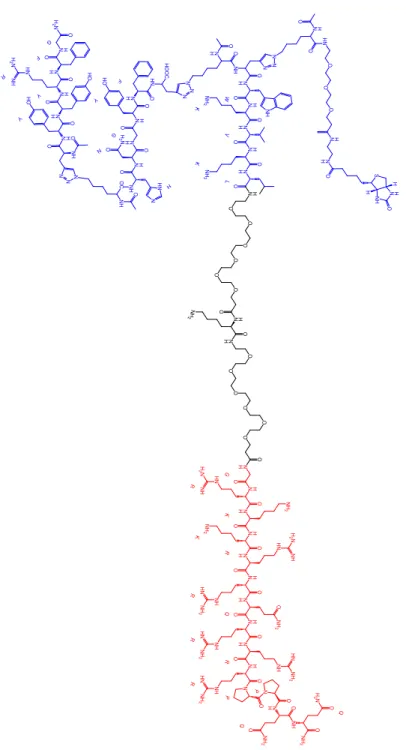 Figure 1 – N-terminal Activator. The N-terminal capture agent (blue) is  separated from the TAT sequence (red), by two PEG spacers and a lysine  residue that can be further functionalized