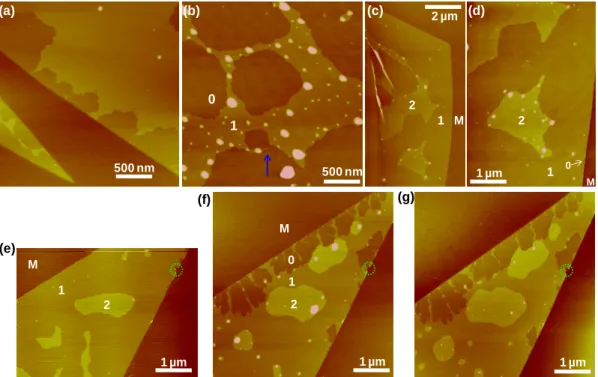 Figure 3 – Dynamics of the graphene-templated adlayers of cyclohexane and  THF. (a): A representative cyclohexane sample (Fig