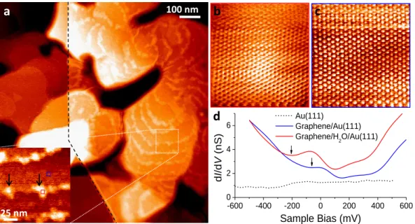 Figure 1 – STM topography and STS spectra of graphene-covered Au(111) surface. 