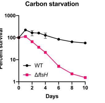 Figure S2. Viability loss plateaus during carbon starvation. 1-2% of ΔftsH cells remain viable during extended carbon starvation,  in contrast to complete viability loss in stationary phase