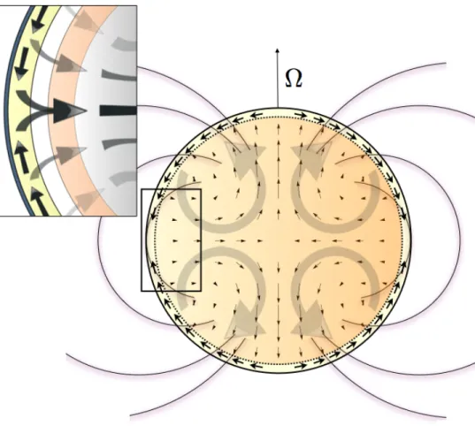 Figure 1.3: Side view cross-section of induced current due to zonal wind flow. The interior vector field, plotted with small arrows, is a quantitative result of the model