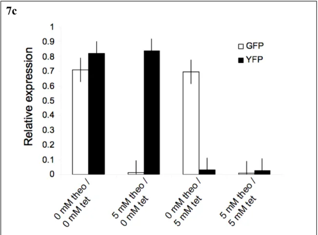 Figure 7.  (a) Sequence and structural switching of a tetracycline-responsive Venus