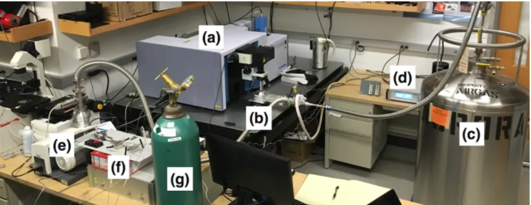 Figure 2.4: High pressure, low temperature Raman setup. Components in the picture: (a) commercial Raman microscope; (b) He-4 flow cryostat; (c) liquid helium dewar; (d) Lakeshore temperature controller; (e) vacuum pump; (f) high pressure manifold control s
