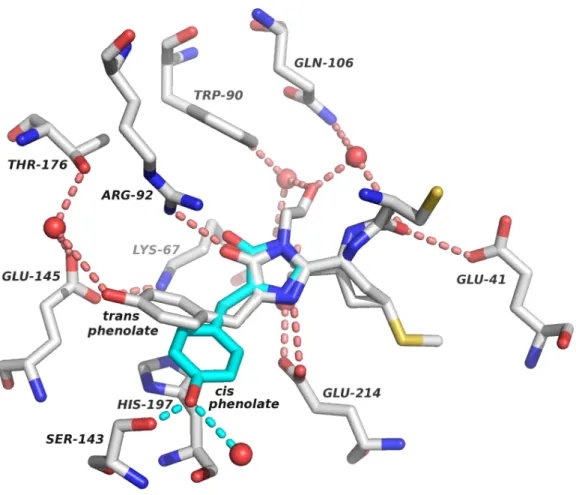Figure  2.    Chromophore  contacts  in  AQ143.  Residues  that  directly  interact  with  the  chromophore or help to coordinate structural waters (red spheres) are shown along with the  immediate  hydrogen-bonding  network