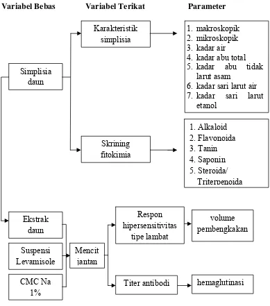 Gambar 1.1 Diagram Kerangka Pikir Penelitian 