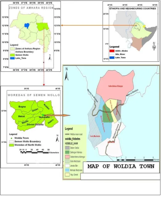 view-of-a-survey-of-solid-waste-management-services-in-woldya-town