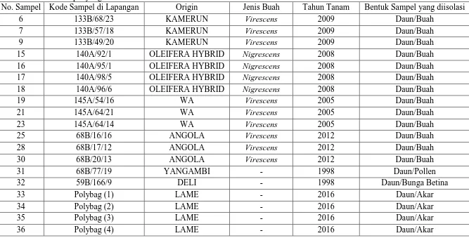 Tabel 2. Identitas sampel yang dikeluarkan oleh PT. Socfin Indonesia  No. Sampel Kode Sampel di Lapangan Origin 
