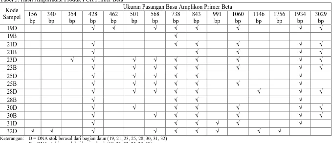 Tabel 5. Hasil Amplifikasi Produk PCR Primer Beta Ukuran Pasangan Basa Amplikon Primer Beta 