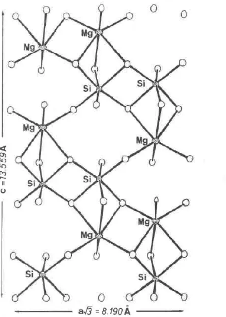 Gambar 2.1 Struktur Perspektif Magnesium Silikat  