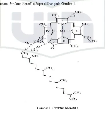 Gambar 1. Struktur Klorofil a