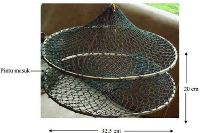 Gambar 10. Bubu Kepiting Bakau yang digunakan pada saat sampling. 