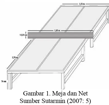Gambar 1. Meja dan Net 
