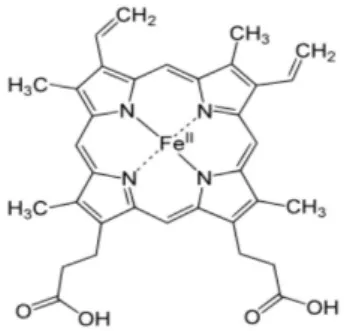 Gambar 2.1 Struktur kimia hemoglobin  (22) 