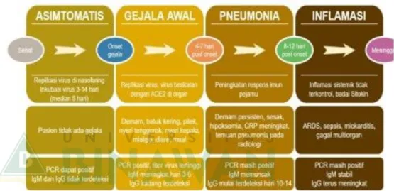 Gambar 1 Skema perjalanan penyakit COVID-19 1