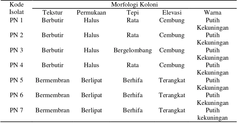 Tabel 1. Karakteristik morfologi khamir yang diisolasi dari nira, tuak dan laru asal Pulau Nias 